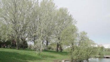 Büyük ağaçlar ve bir yüzen