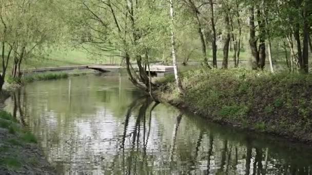 Isla con árboles en el parque — Vídeos de Stock