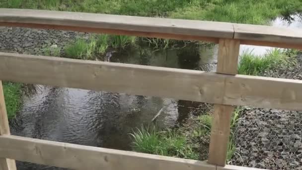 Houten reling van een brug — Stockvideo