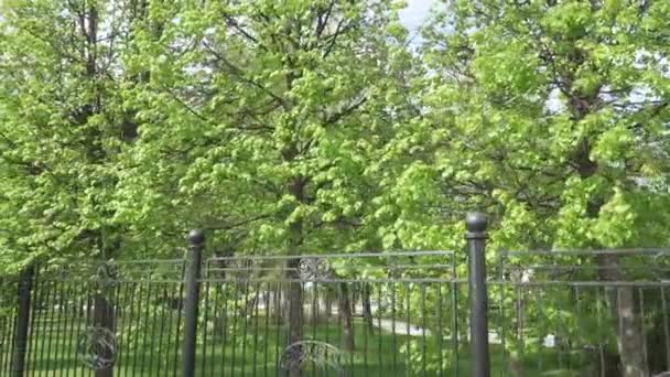 Eiserner Zaun eines Stadtparks — Stockvideo