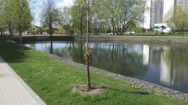 Un pequeño lago en el parque — Vídeos de Stock