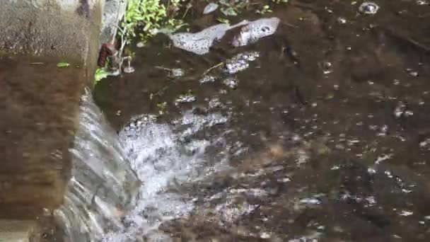 Tuberías de drenaje en una ciudad — Vídeo de stock