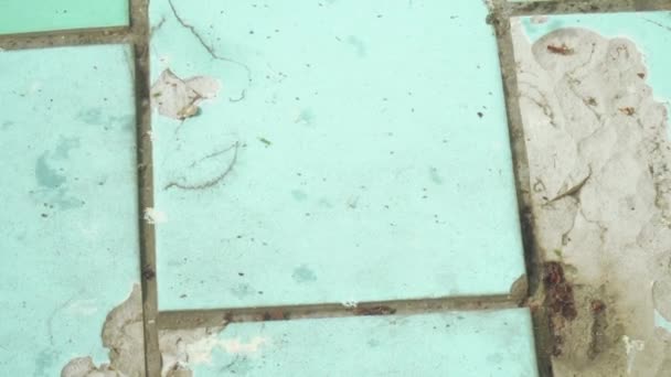 Färgad lera pool i parken — Stockvideo