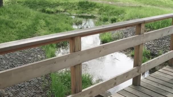 Дерев'яні перила мосту — стокове відео