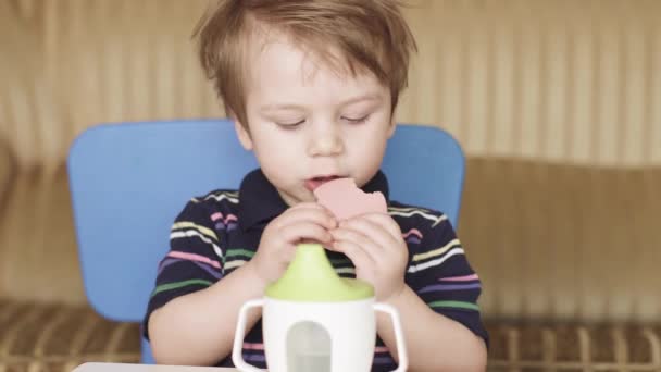 Menino criança bebe água e come — Vídeo de Stock