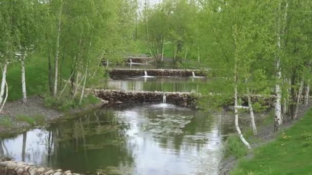 Kaskadenbrunnen mit Birken — Stockvideo