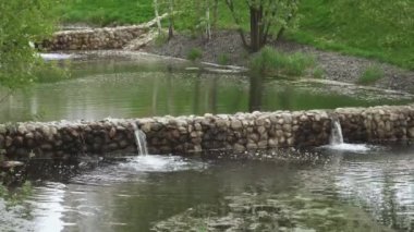 Ağaç dallarıyla çağlayan çeşme.