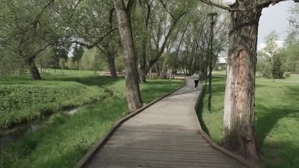 Chemin de randonnée en bois au lever du soleil 