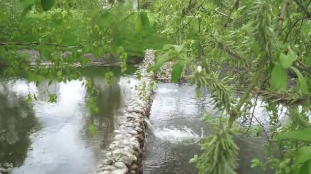 带有桦树的级联喷泉 — 图库视频影像