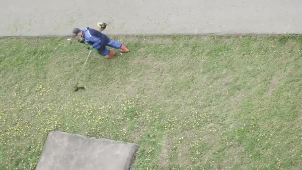 Græsplæne klipning ved en manuel græsplæne – Stock-video