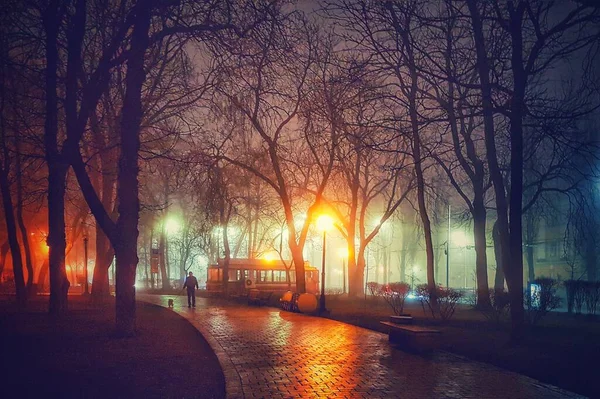 Beautiful Picture Foggy Evening Shevchenko Park Kyiv Lights Big Trees Stock Photo