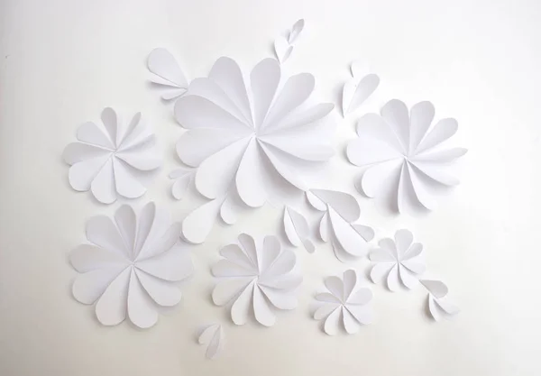 white paper flowers decorative background