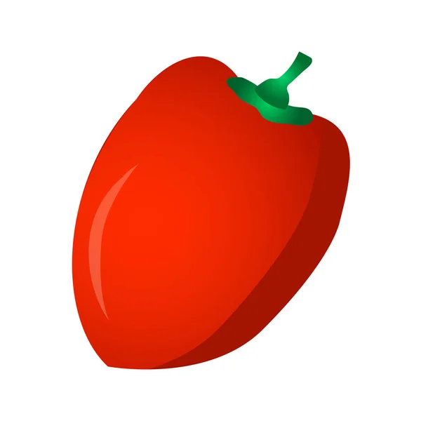 Poivron bulgare doux rouge. Paprika Isolé — Image vectorielle