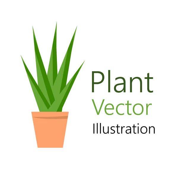 Vaso de flores com planta — Vetor de Stock