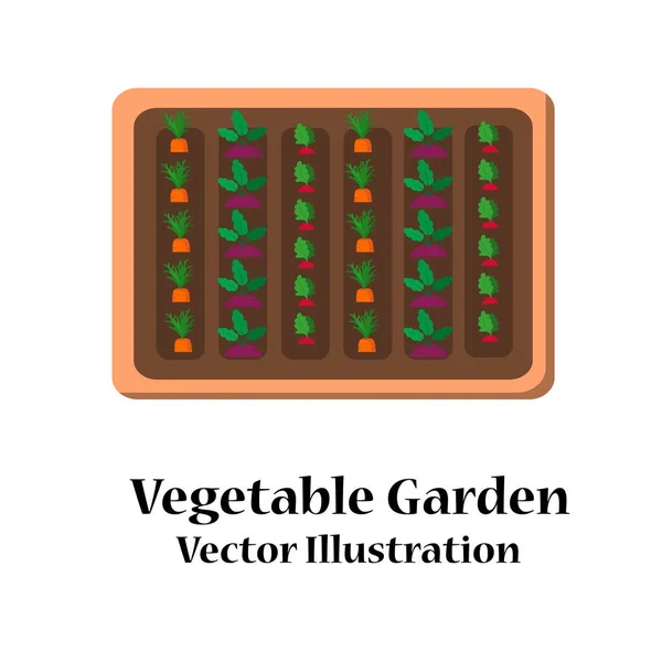 Vegetable garden planner flat design — Stock Vector