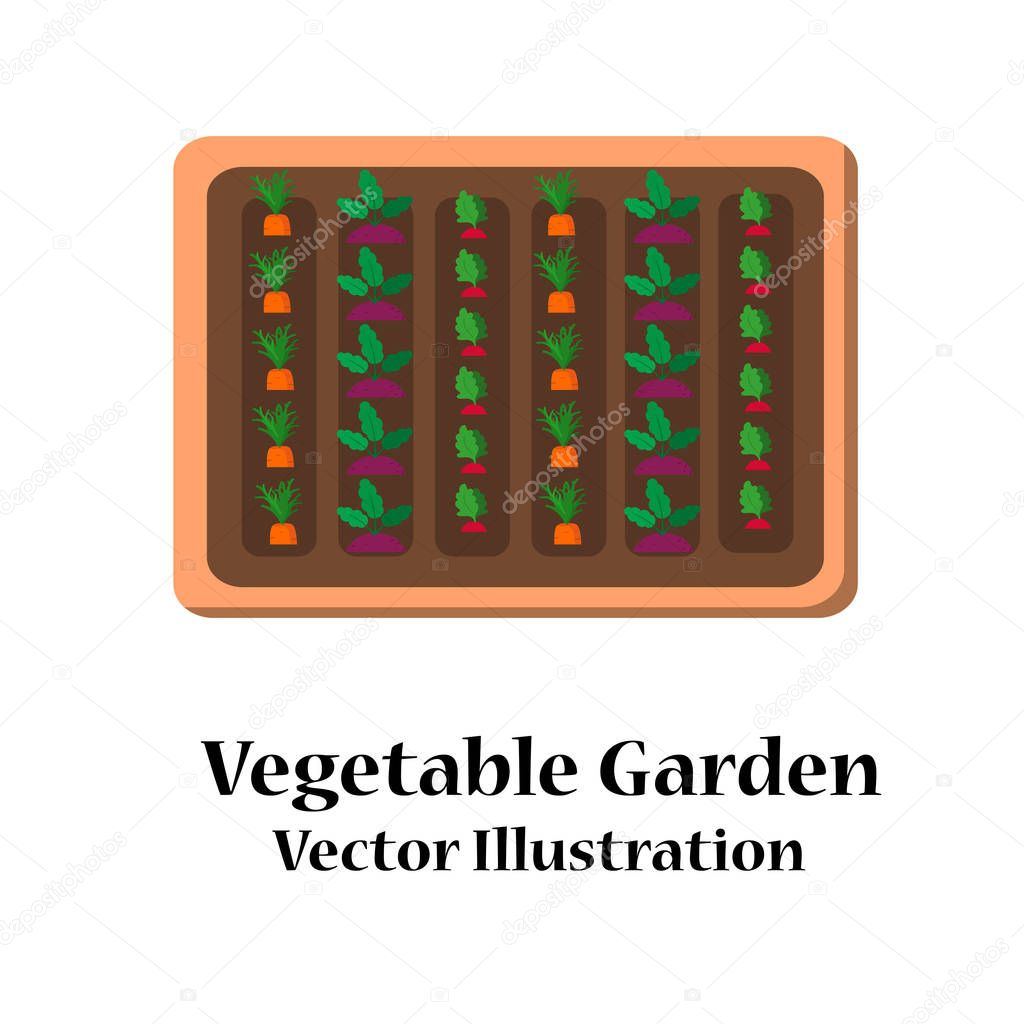 Vegetable garden planner flat design