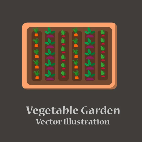 Planejador de jardim vegetal design plano — Vetor de Stock