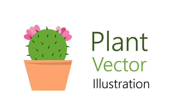 Vaso de flores com planta — Vetor de Stock