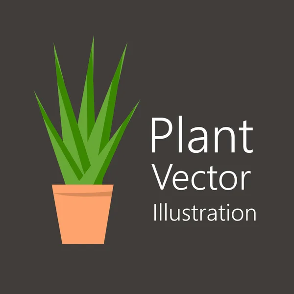 Vaso de flores com planta — Vetor de Stock