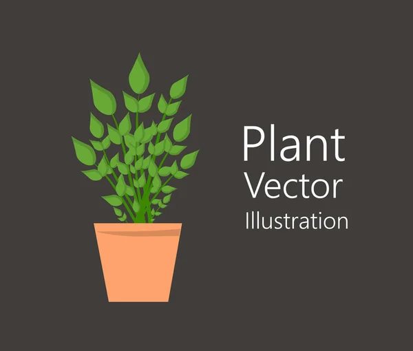 Vaso de flores com planta — Vetor de Stock