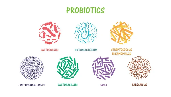 Reihe probiotischer Bakterien — Stockvektor