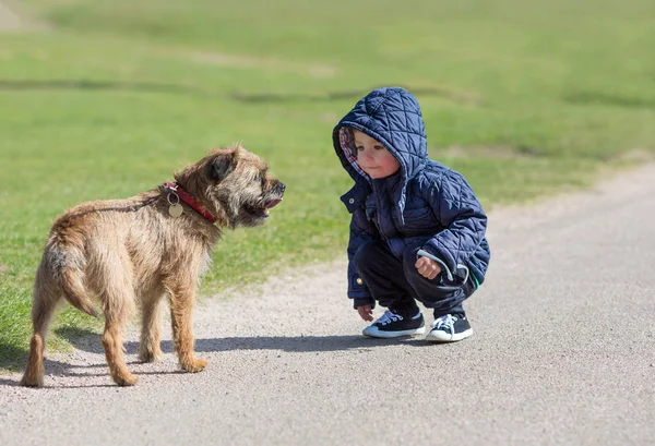 köpekle oynayan çocuklar