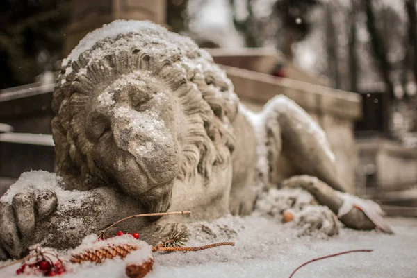 Uyuyan bir aslanı Anıtı — Stok fotoğraf