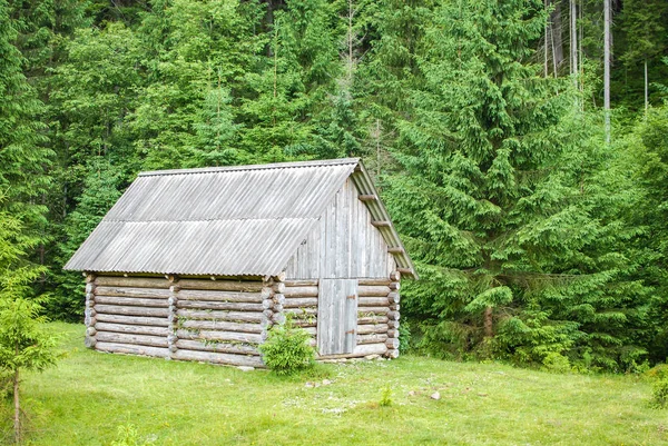 Little house in the woods — Stock Photo, Image