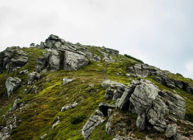 kayalık ve dik üst