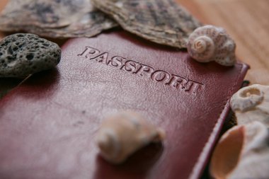 yaratıcı düz pasaport ve kabukları ile seyahat kavramı yatıyordu