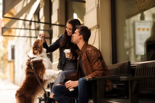 Portrait of happy young man and woman have walk outdoor with their pet, feed it with something delicious, sit on chairs, have break after long stroll. People and animals, good relations concept.