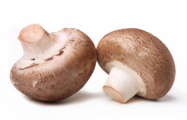 İzole petrol mantar izole