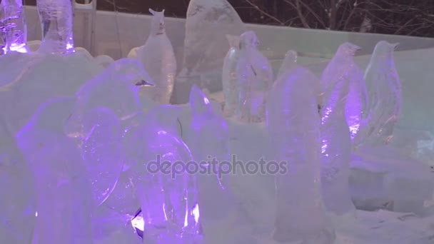 Ледяная скульптура замороженных пингвинов в зимнем городе. Скульптуры льда в России. Скульптуры в ледяном городке. Ледяные скульптуры и водопады — стоковое видео