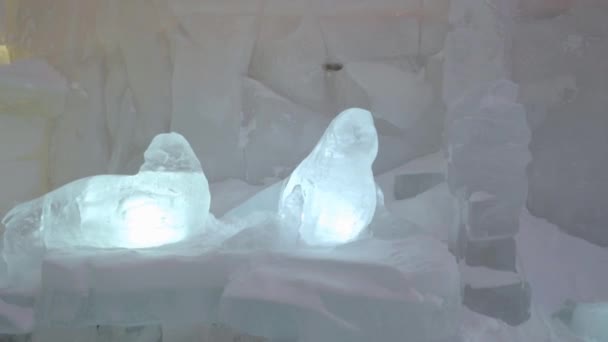 Escultura gelada de selos congelados na cidade de inverno. Escultura de focas feitas de gelo ou neve. Esculturas de gelo na Rússia. Esculturas na cidade do gelo. Escultura de gelo e belas neves cai — Vídeo de Stock