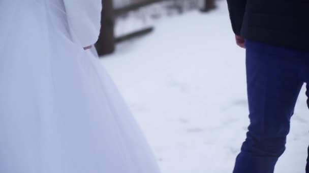 Νεαρών νεόνυμφων με τα πόδια έξω. Η νύφη και ο γαμπρός βόλτα μαζί στο πάρκο το χειμώνα ή το καλοκαίρι και κρατώντας τα χέρια. ευτυχισμένο ζευγάρι περπάτημα στο πάρκο μεταξύ των θάμνων κερασιών. Νύφη και το γαμπρό — Αρχείο Βίντεο