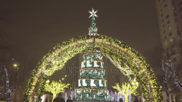 Gran av kransar på natt vinter park. Jul. Jul dekoration bakgrund och julgran med gyllene ljus glödande. Vinternatt i parken is. Snow village. — Stockvideo