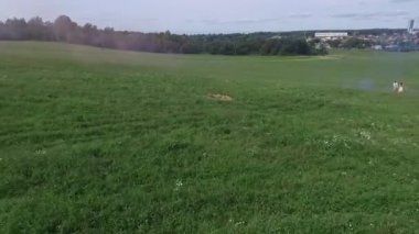Uçan nerede aşıklar yürümek yeşil alanın üzerinde. Kadın ve adam çalıştırdığı kenar boşluğu hava anketi. Alan. Sahada koşmak aşıkların hava anket
