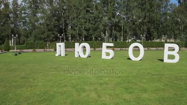 Statue inscription love on the grass. Diy love word made of paper on the grass. beautiful bouquet and a white wooden sign wedding on grass. Caption word love on grasses with engagement ring in red box — Stock Video