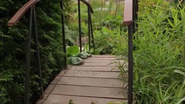 Plantas y ramas en el patio. puente de madera en el jardín. Hermosas grandes ramas verdes y hojas. Hojas y ramas verdes para diseño y decoración. Bosque — Vídeos de Stock