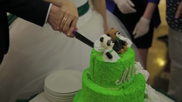 Νύφη και γαμπρός στη δεξίωση του γάμου κοπή της τούρτας του γάμου. Κόψτε μια γαμήλια τούρτα. Veautiful πράσινο διακοπές κέικ — Αρχείο Βίντεο