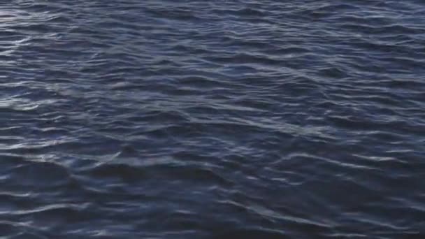 Des ondulations sur le lac. ondulation de l'eau dans le lac. Nature et eau — Video