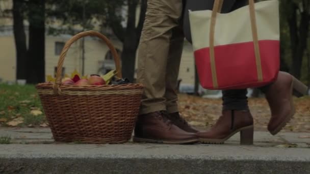 Coppia in outdoor con cestino da picnic, baci. Una donna alza la gamba. Uomo e donna in piedi all'aperto o nel parco e donna alzano la gamba — Video Stock