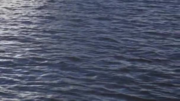 Des ondulations sur le lac. ondulation de l'eau dans le lac. Nature et eau 