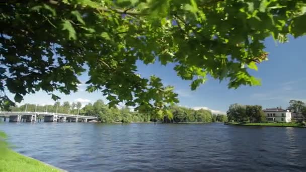 O palácio na margem da lagoa no parque de Pushkin perto de São Petersburgo. costa de lago em São Petersburgo. Paisagem russa bonita com salgueiros perto da água de um lago e nuvens no céu azul — Vídeo de Stock