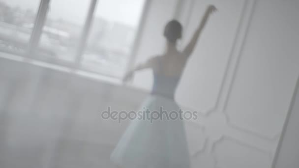 Bela menina dançarina executa elementos de balé clássico no projeto do Loft. Dançarina de Ballet Feminina Dançando. Close Up Of A Ballet Dançarinos Pés Como Ela Pratica Exercícios Ponto, câmera lenta — Vídeo de Stock