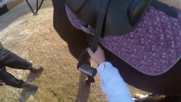 La chica jinete se sienta en la silla de montar en su caballo. La chica se sienta en el caballo montando gopro. un hombre se sienta en un caballo en primera persona. Jovencita montando un caballo gopro. Deshaciéndose — Vídeos de Stock