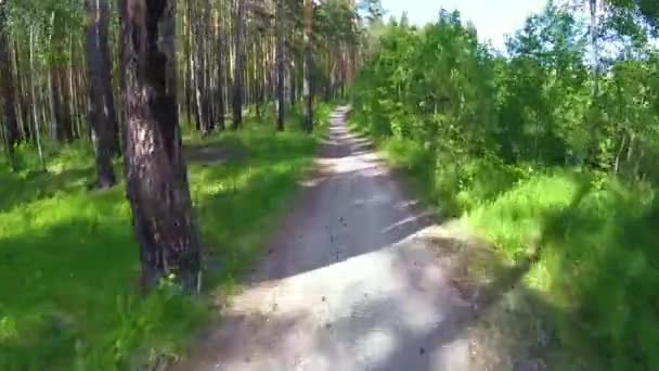 Faire du vélo dans une forêt d'été la première personne. Cyclisme sur un sentier dans les bois avec gopro et soleil. Deux cyclistes alpinistes lors d'une course dans les bois ou gopro forêt. le Vélo dans les bois 