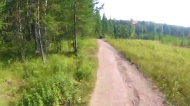 Bir yaz ormanda ilk kişi Bisiklete binme. Gopro ve güneş ile ormanda bir patika üzerinde Bisiklete binme. İki bisikletçi mountainbiker woods veya orman gopro bir yarış sırasında. ormanda Bisiklet