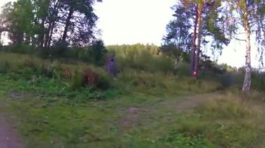 Bir yaz ormanda ilk kişi Bisiklete binme. Gopro ve güneş ile ormanda bir patika üzerinde Bisiklete binme. İki bisikletçi mountainbiker woods veya orman gopro bir yarış sırasında. ormanda Bisiklet