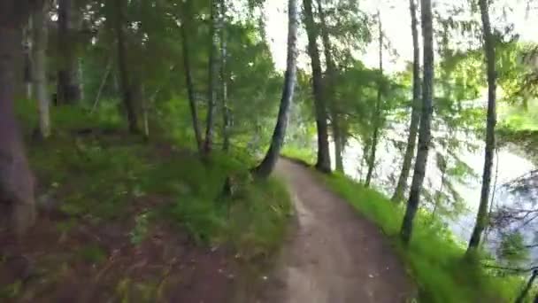 骑自行车在夏天的森林里的第一人。骑自行车在 gopro 与孙树林一条小径上。两个骑自行车的人 mountainbiker 在树林或森林 gopro 的一场比赛。在树林里自行车 — 图库视频影像